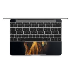 Foils for Laptops matt