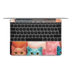 Foils for Laptops matt