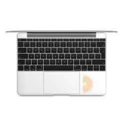 Foils for Laptops matt