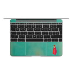 Foils for Laptops matt