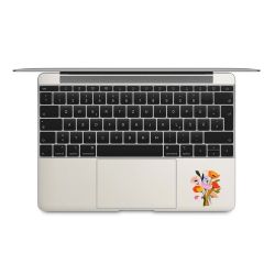 Foils for Laptops matt