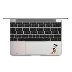 Foils for Laptops matt