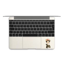 Foils for Laptops matt