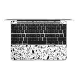 Foils for Laptops matt