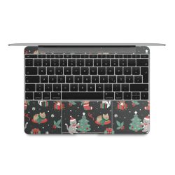 Foils for Laptops matt