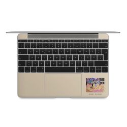 Foils for Laptops matt