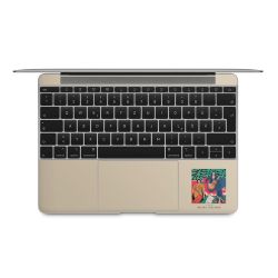 Foils for Laptops matt