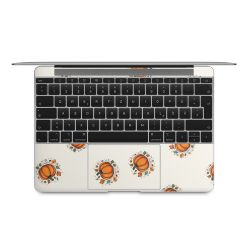 Foils for Laptops matt