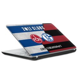 Folien für Laptops matt