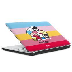 Folien für Laptops matt