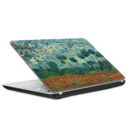 Foils for Laptops matt