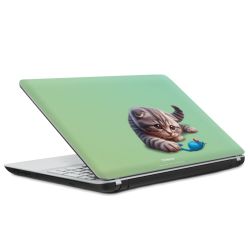 Foils for Laptops matt