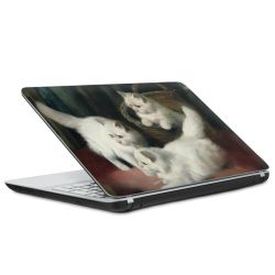 Foils for Laptops matt