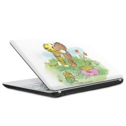 Foils for Laptops matt