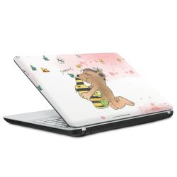 Foils for Laptops matt