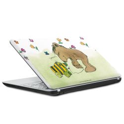 Foils for Laptops matt