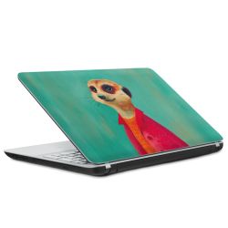 Foils for Laptops matt