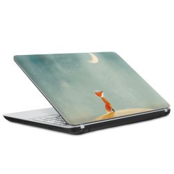 Foils for Laptops matt