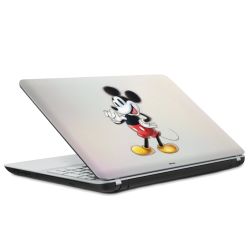 Foils for Laptops matt