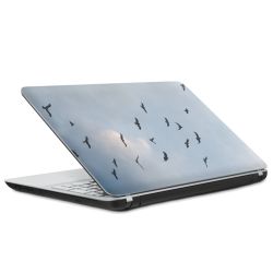 Foils for Laptops matt