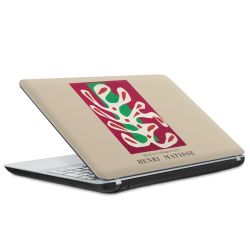 Foils for Laptops matt