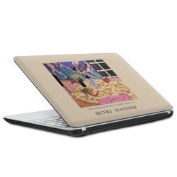 Foils for Laptops matt