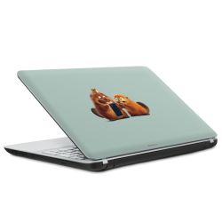 Foils for Laptops matt