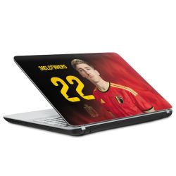 Foils for Laptops matt