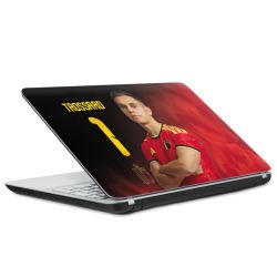 Foils for Laptops matt