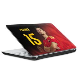 Foils for Laptops matt