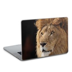 Foils for Laptops glossy