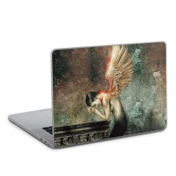 Foils for Laptops glossy