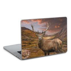 Foils for Laptops glossy