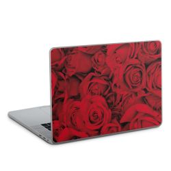 Foils for Laptops glossy