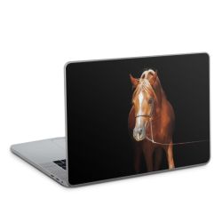 Foils for Laptops glossy