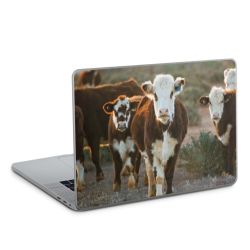 Foils for Laptops glossy