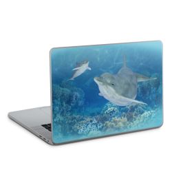 Foils for Laptops glossy