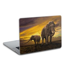 Foils for Laptops glossy