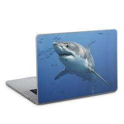 Foils for Laptops glossy