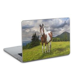 Foils for Laptops glossy