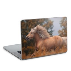 Foils for Laptops glossy
