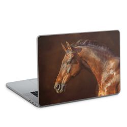 Foils for Laptops glossy