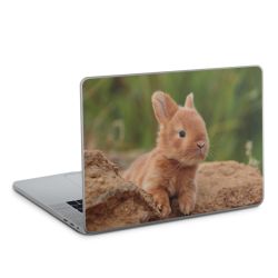 Foils for Laptops glossy