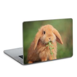 Foils for Laptops glossy