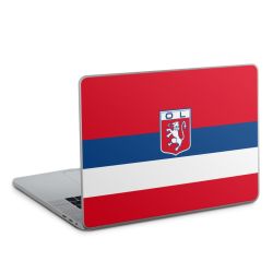 Foils for Laptops glossy