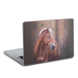 Foils for Laptops glossy