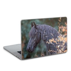 Foils for Laptops glossy