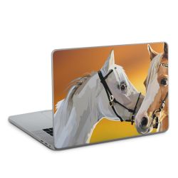 Foils for Laptops glossy