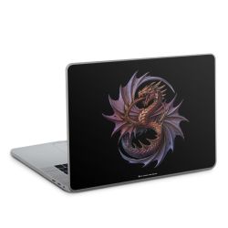 Foils for Laptops glossy
