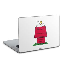 Foils for Laptops glossy